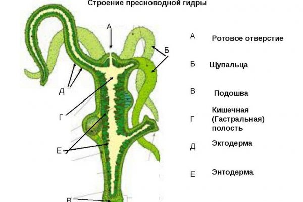 Кракен сайт пользователь не найден